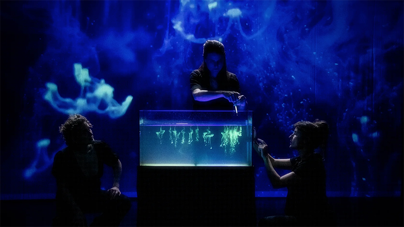 meduses 02